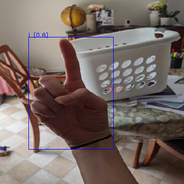 Preview browser: Object detection (ROIs CSV)