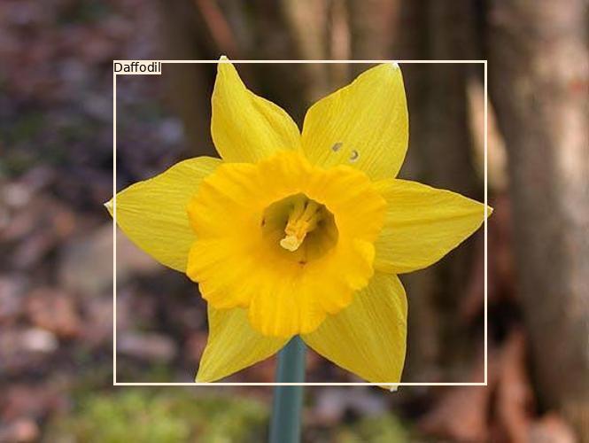 Example label overlay for object detection (image_0014.jpg)