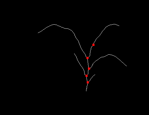 Composite image of skeletonized plant image with branch locations (plant_binary-branches.png)